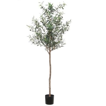 Kunstbaum Olive BLAZO mit Früchten, Naturstamm, 180cm