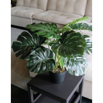 Deko Philodendron Monstera Deliciosa MUNIN, 55cm