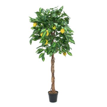 Künstlicher Zitronenbaum ZOYA, Naturstämme, mit Früchten, 150cm
