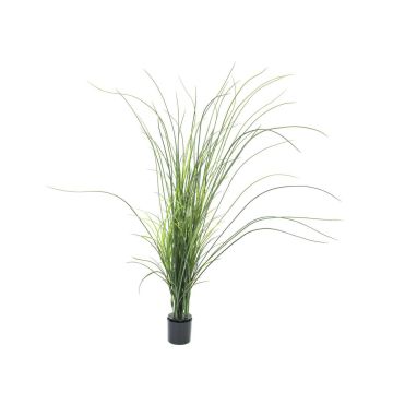 Plastik Schilfgras HANNO, grün, 145cm
