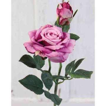 Samt Rose SINJE, violett, 35cm, Ø9cm