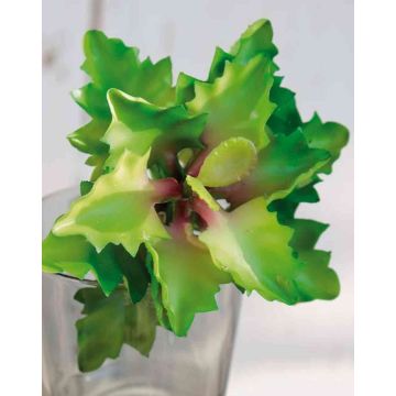 Plastik Echeveria rosea ENRICA, Steckstab, grün-rot, 12cm, Ø13cm