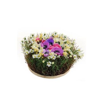 Deko Blumengesteck Anemone Gänseblümchen IKAIA, bunt, 12cm, Ø20cm