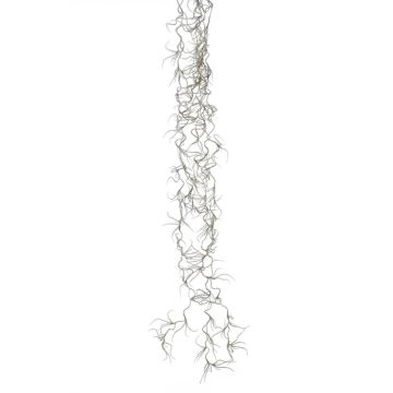 Kunst Sukkulente Tillandsia Usneoides DAMASO, Steckstab, grau, 80cm