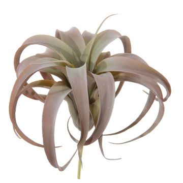 Kunst Pflanze Tillandsia Xerographica KASTIEL, Steckstab, braun-grün, 23cm