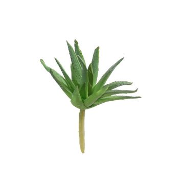 Kunststoff Agave decipiens KIANU, Steckstab, grün, 9cm