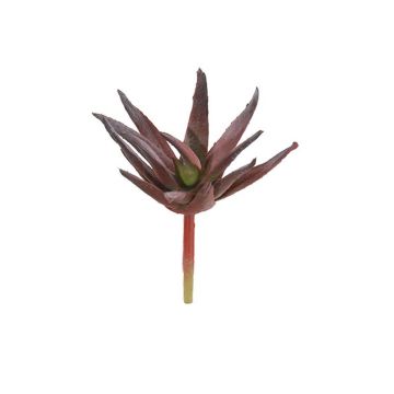 Kunststoff Agave decipiens KIANU, Steckstab, burgunderrot-grün, 9cm