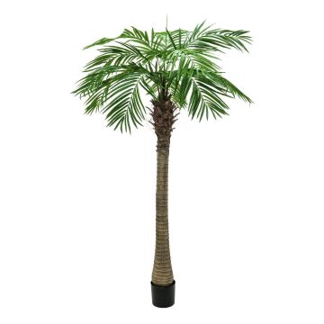 Plastik Dattelpalme CARTER, 240cm