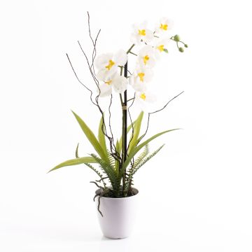 Kunststoff Phalaenopsis Orchidee MELINA im Dekotopf, weiß, 65cm