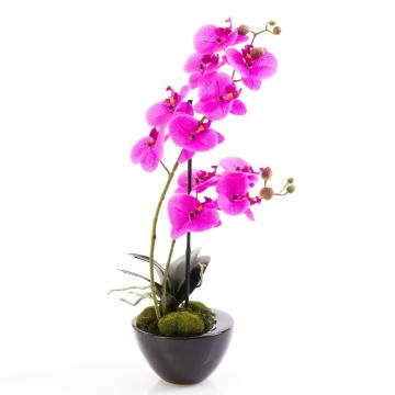 Kunststoff Phalaenopsis Orchidee MELINA im Keramiktopf, pink, 45cm
