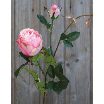 Kunst Rose CARUSA, rosa, 80cm, Ø8cm
