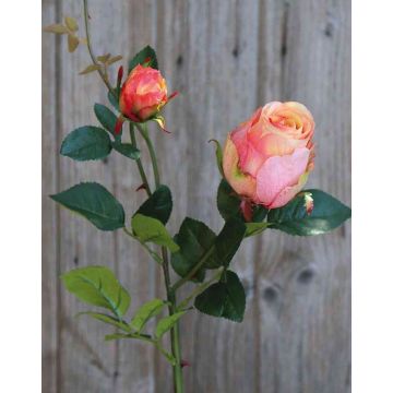 Kunst Rose CARUSA, pink-aprikose, 80cm, Ø8cm