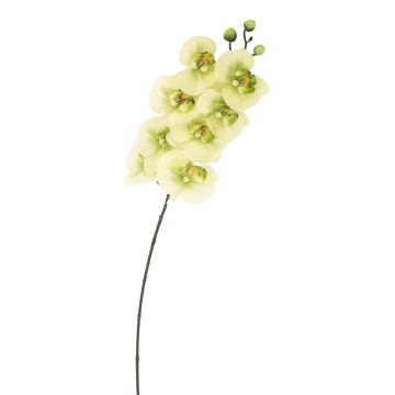 Textilzweig Phalaenopsis Orchidee AURELIA, creme-grün, 95cm