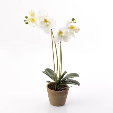 Deko Phalaenopsis Orchidee MINA im Terracotta Topf, weiß, 45cm