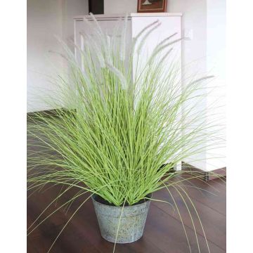 Plastik Lampenputzergras OVIDIO, Rispen, Zinktopf, grün, 115cm