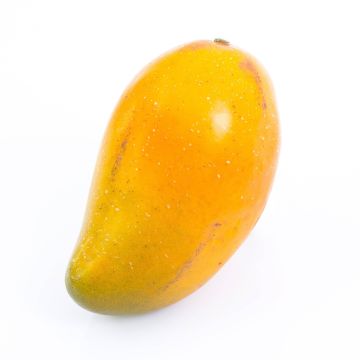 Kunst Mango FLORISA, orange-gelb, 13cm, Ø8cm