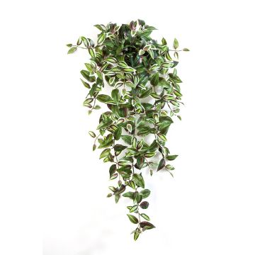 Deko Tradescantia Zebrina PANCHO, Stecker, grün-lila, 95cm