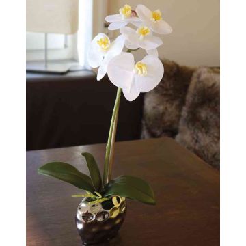Kunstblume Phalaenopsis Orchidee EMILIA, Keramiktopf, weiß, 45cm