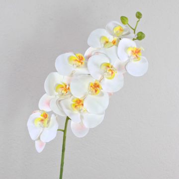 Dekozweig Phalaenopsis Orchidee OPHELIA, weiß, 100cm, Ø9-12cm