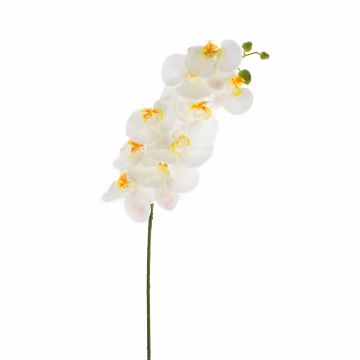 Textilzweig Phalaenopsis Orchidee OPHELIA, weiß, 100cm