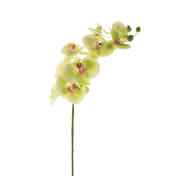 Textilzweig Phalaenopsis Orchidee OPHELIA, grün-pink, 100cm