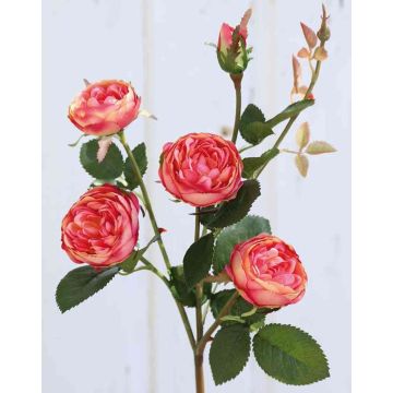Dekoblume Kohl-Rose SABSE, rosa-aprikose, 55cm, Ø4-5cm