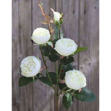 Dekoblume Kohl-Rose SABSE, creme-weiß, 55cm, Ø4-5cm