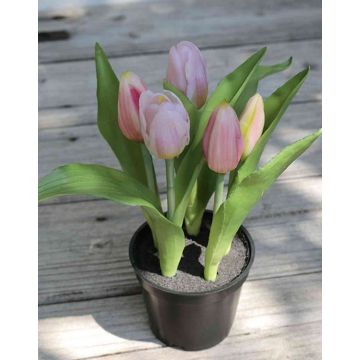 Dekoblume Tulpe LEANA im Dekotopf, rosa-grün, 20cm, Ø2-4cm
