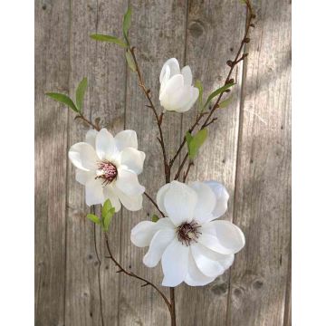 Kunst Magnolienzweig FINAH, creme-weiß, 90cm, Ø9-15cm