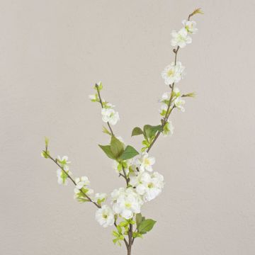 Deko Kirschblütenzweig VALESKA, blühend, weiß, 85cm, Ø3-5cm