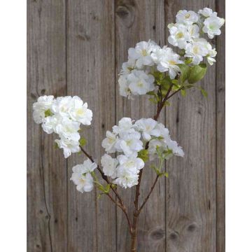 Kunst Kirschblütenzweig MATSUDA mit Blüten, creme-weiß, 80cm, Ø6-11cm