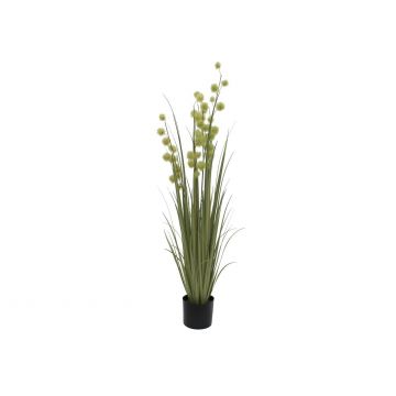 Dekogras Allium AZRA, grün, 120cm