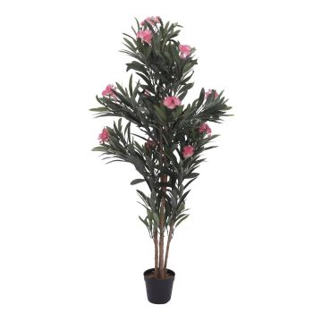Dekobaum Oleander MINOU, Echtstämme, mit Blüten, rosa, 150cm