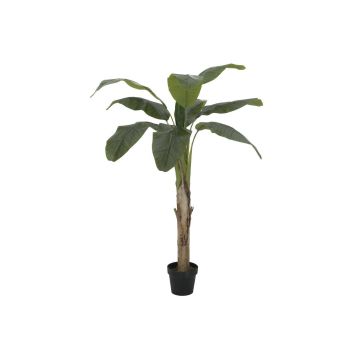 Plastik Bananenpflanze MAKANI, 145cm