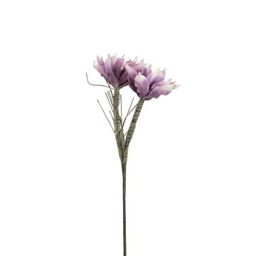 Kunststoff Magnolie NEYLA, crossdoor, violett, 100cm, Ø12-14cm