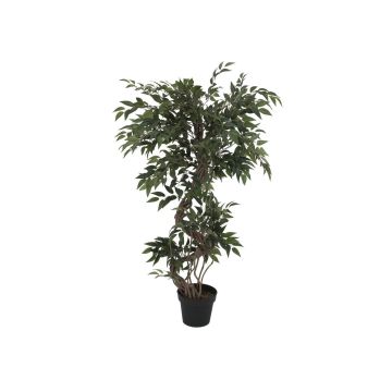 Dekobaum Birkenfeige MIYU, Naturstämme, 130cm