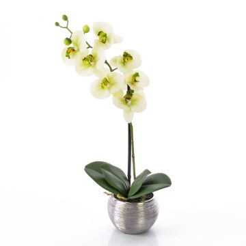 Kunstblume Phalaenopsis Orchidee EMILIA, Dekotopf, creme-grün, 45cm