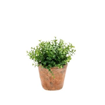 Kräuter künstlich Eukalyptus LUCANO im Terracotta Topf, grün, 20cm, Ø20cm