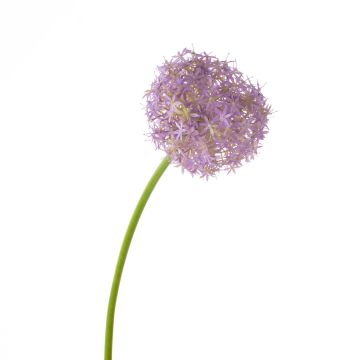 Kunst Allium SAMARA, lila, 75cm, Ø12cm