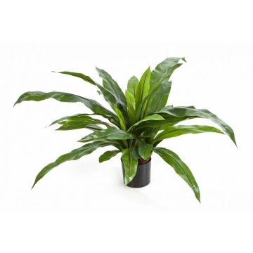 Dekopflanze Nestfarn JANE, grün, 80cm, Ø80cm
