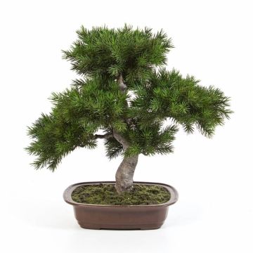 Kunst Bonsai Pinie SELENA in Bonsaischale, 50cm