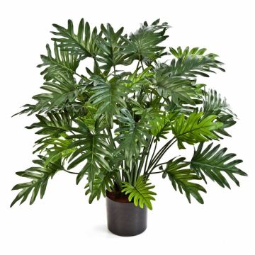 Kunst Philodendron Selloum MERISSA, 75cm