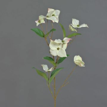 Textilzweig Japanischer Hartriegel KOHANA, blühend, creme, 65cm, Ø4-8cm
