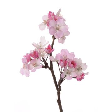 Deko Apfelblütenzweig OCHUKO, blühend, pink-weiß, 35cm
