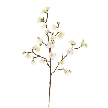 Deko Apfelblütenzweig SADAKA, blühend, creme, 70cm, Ø3-4cm