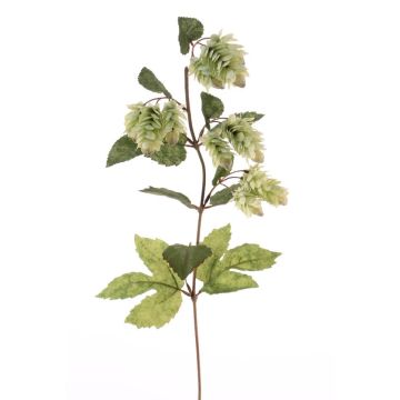 Dekopflanze Hopfenzweig AXEL, blühend, grün, 65cm