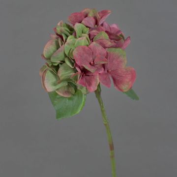 Künstliche Hortensie CHIDORI, rot-grün, 30cm, Ø13cm