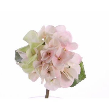 Plastik Hortensie CHIDORI, creme-rosa, 30cm, Ø13cm