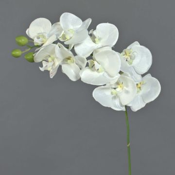 Künstlicher Phalaenopsis Orchideen Zweig GALINA, weiß, 60cm, Ø6-8cm