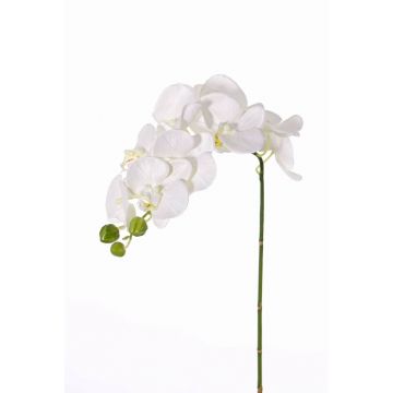 Künstlicher Phalaenopsis Orchideen Zweig GALINA, creme, 45cm
